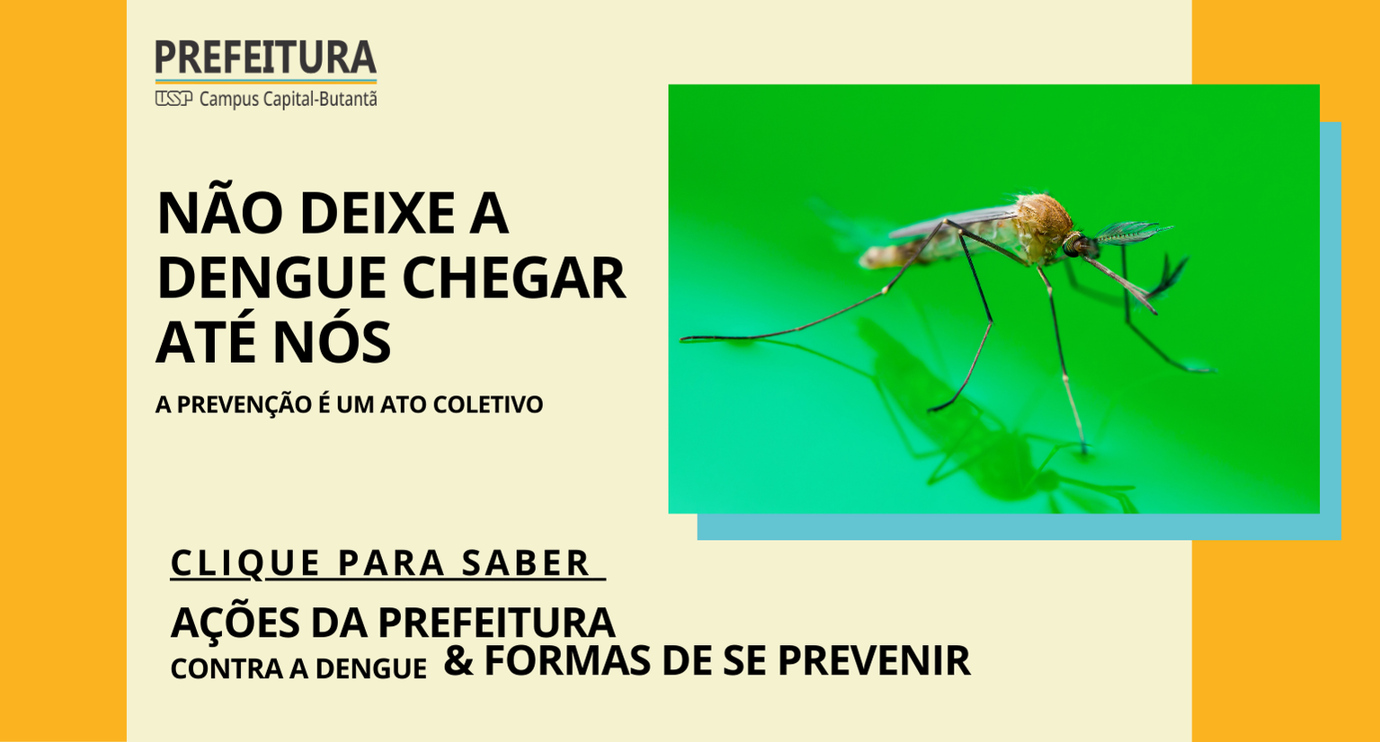 Contra a dengue (1)