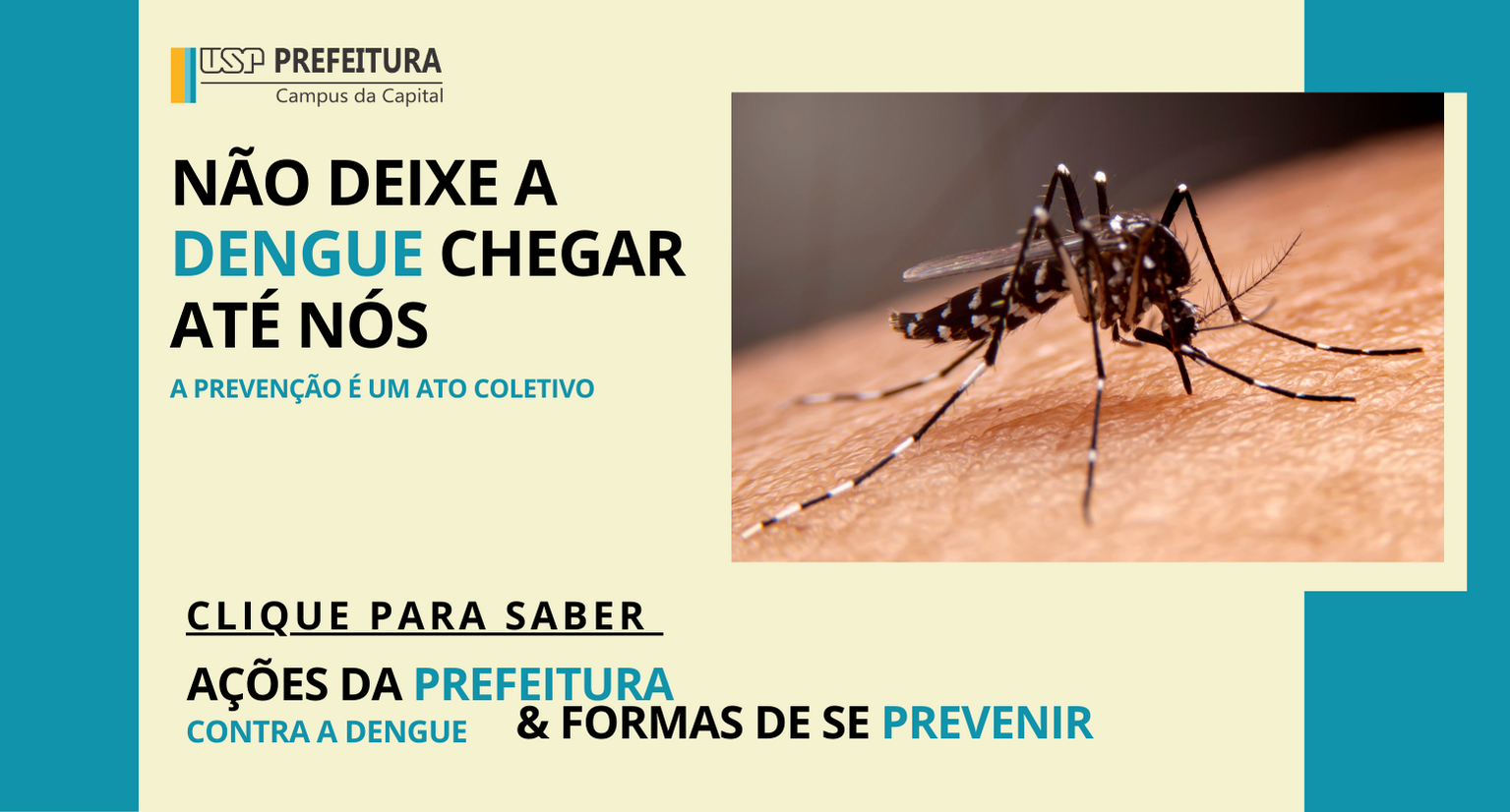Não deixe a Dengue chegar até nósDengue